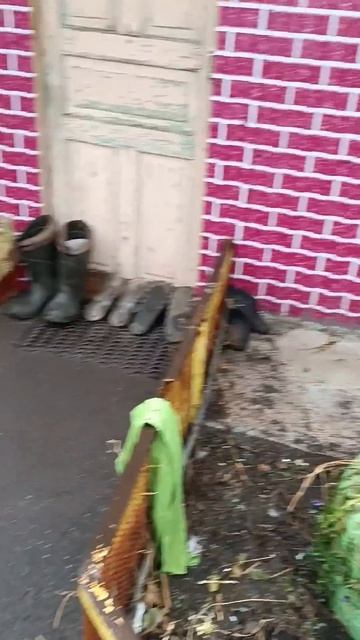 С последним месяцем осени😁 #осень #ноябрь #погода #дер смотреть онлайн