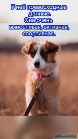 Мы ищем друг друга!