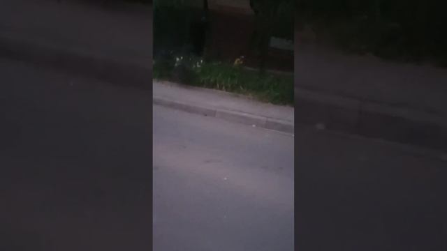 Монстр в подвале Часть 1