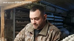 НЕ ЗАВОДИТЕ СЕЙЧАС ПЕРЕПЕЛОВ!       О новых законах и цен