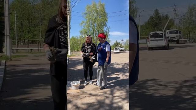 Субботник