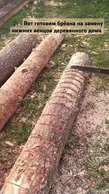 Замена бревна в деревянном доме: нижние венцы, готовим смотреть онлайн