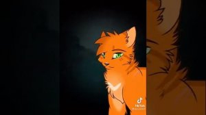 чему нас научили коты-воители