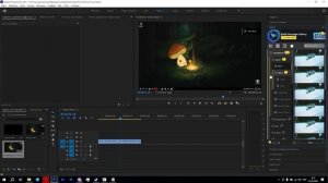 ТОП 5 ПЛАГИНОВ для PREMIERE PRO & AFTER EFFECTS! (SapphireFX, AtomX, Premiere Compose