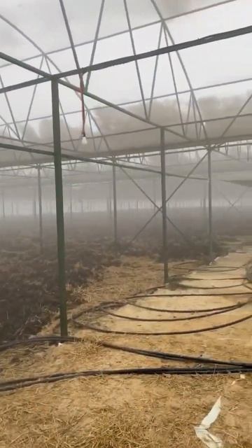 На улице холодно а в теплице тепло #производство #organicfa смотреть онлайн