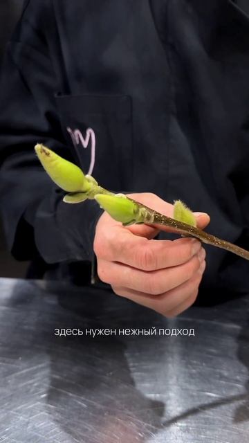 Ветки магнолии - это настоящее волшебство! Весна, расп?