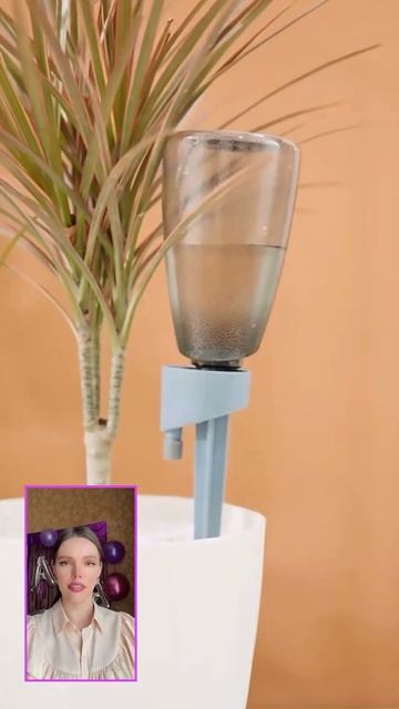 #автополив #лайфхакидлядома #растения #lifehacks #обзортов?