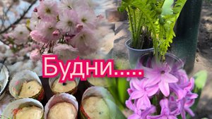 Моменты жизни 💥