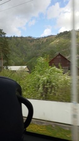 VID_20250503_110508