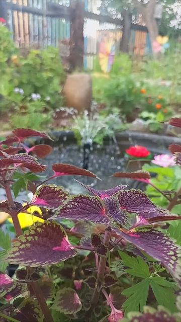 Маленький уголок природы #nature #лето #beautyofnature #relaxing смотреть онлайн