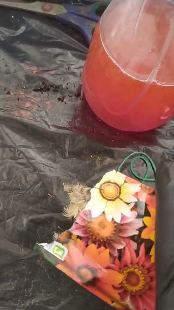 работа в теплице(2) смотреть онлайн