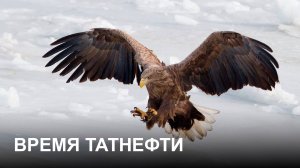 Время Татнефти 07.05.2025