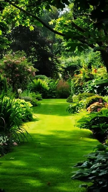 Создайте райский уголок： 22 шага к дачной мечте 🌿 #ого смотреть онлайн