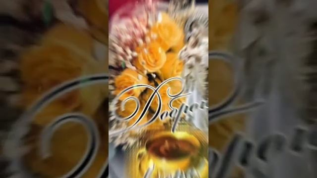 VID-20250507-WA1286