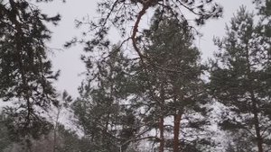 Токсичные отношения в нашей жизни