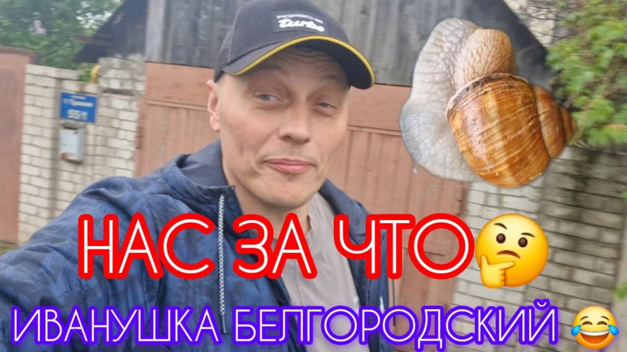 📹 СРОЧНО‼️ БЛОГЕРЫ ХАРЬКОВА НЕ ПОЗОРЬТЕ РОДНУЮ ЗЕМЛЮ 🤡 ОБСТАНОВКА 💎 7 МАЯ.