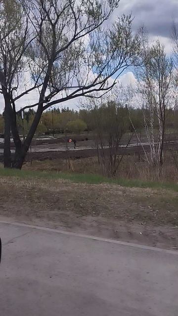 Парк победы