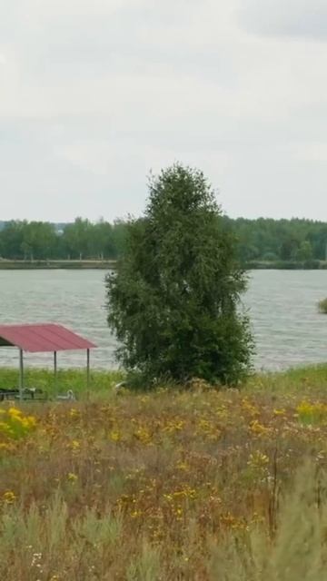 Где построить каркасный дом #домподключ #эльбрусхаус #