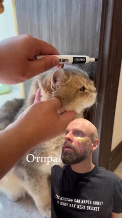 Вот знак, который вы искали!
Угловая чесалка для кошек🤔