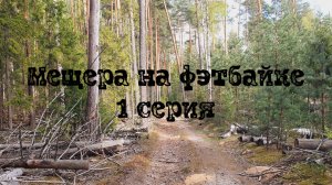 Мещера на фэтбайке. Петушки - Туголесский Бор 1 серия