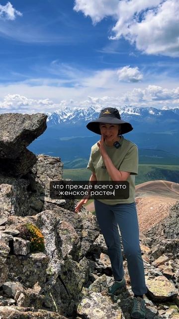 Родиола - уникальное растение Алтая 🌺 #shorts #garden #алтай смотреть онлайн