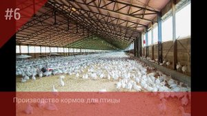 Птицеводство. Курс профессиональной переподготовки "Птицеводство"