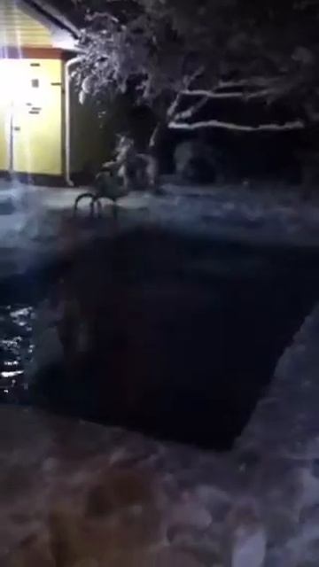 Уронил лом в бассейн смотреть онлайн