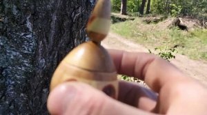 Шкатулка в весеннем лесу между двух берез