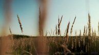 Трек, который вы будете слушать, когда в сотый раз заблудитесь вместе - Марципаны (feat. Cosmic Mons