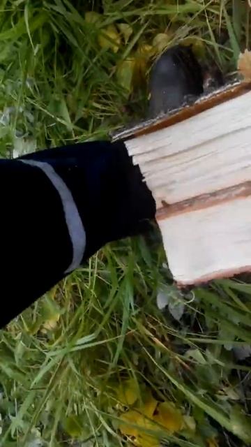 Колун конусный смотреть онлайн