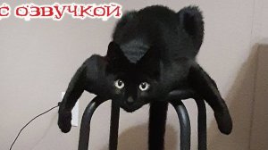 Улетные коты + эпичная озвучка! Тыыык смотри!