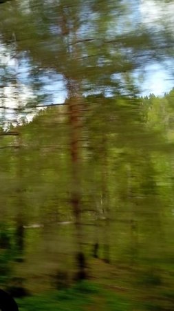 VID_20250503_110719