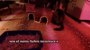 Зять с тёщей остались наедине в бане и тут началось... И