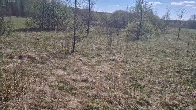 Новый точек для пчел - начало