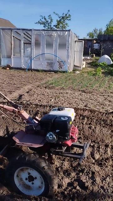 Начался пахотный сезон, вспашка мотоблоком огорода смотреть онлайн