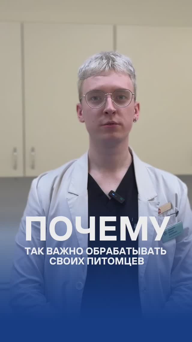 Здоровье питомца начинается с защиты от паразитов 🐶
