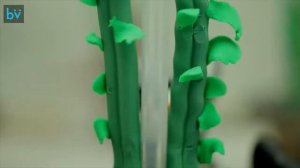 Покадровая анимация из пластилина — Video