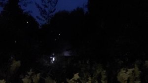 издалека вид тушат сарай пожарники