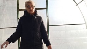 Можно ли посеять сидераты в октябре-ноябре.20.10.2024 г.