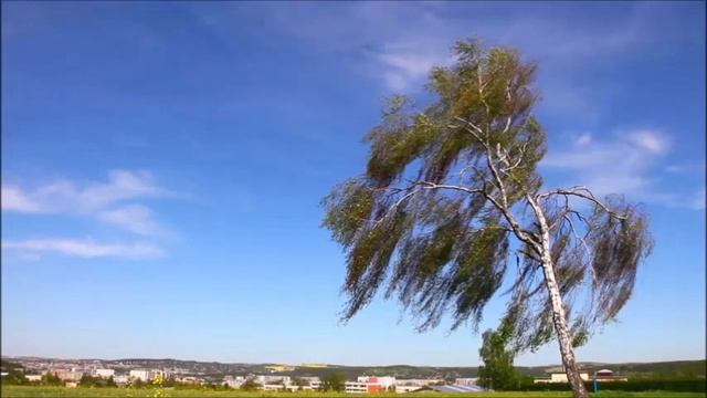 Жизньнаучила любить и прощать!