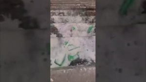 VID-20250507-WA1258