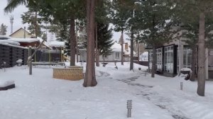 Готовимся к Новому году. 22 декабря на даче