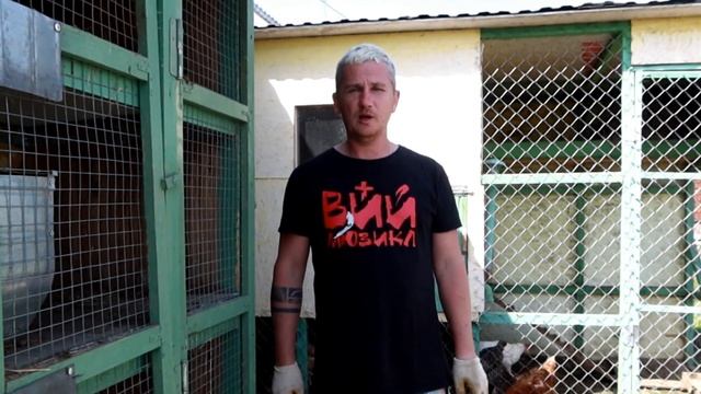 Французский виноградник у нас в Усадьбе. (2021 г.)