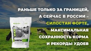 Прекрасный, сухой консервант для силоса и сенажа Силостан Форте. Высокая отдача и прибыль!
