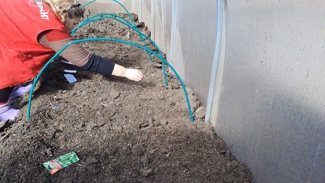 Пришла весна. Сеем зелень. смотреть онлайн