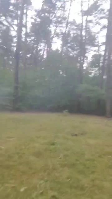 рёбра 3 смотреть онлайн