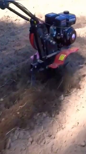 Мотоблок ока, осенняя культивация огорода. смотреть онлайн