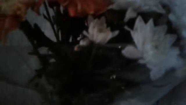 Цветы это класс/ Лерка Конфетка смотреть онлайн