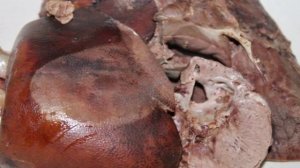 Паштет из отварных свиных субпродуктов с овощами