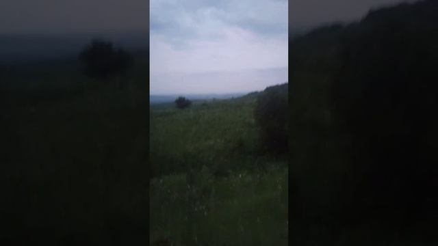 роеловство